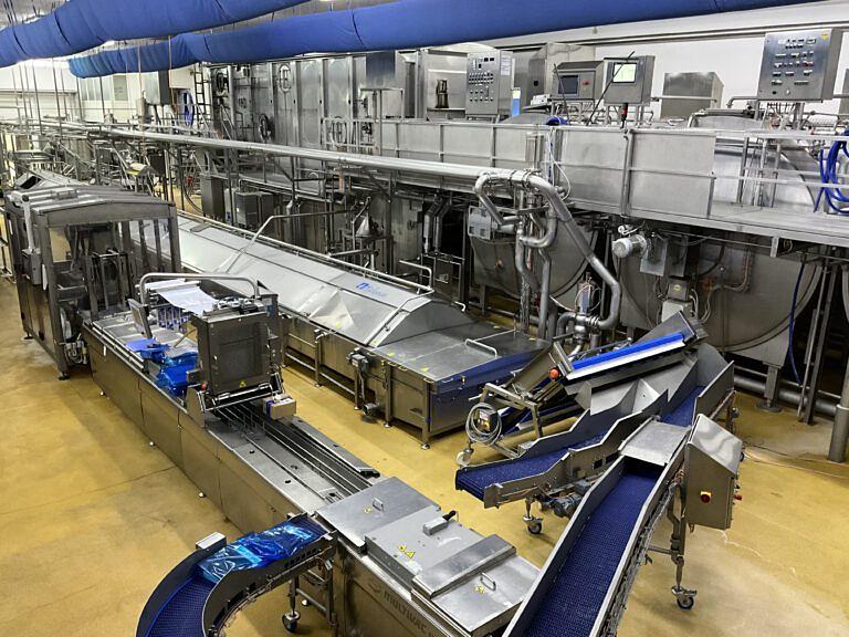 Mozzarella-production-line-BMI-photo-1-1-768x576.jpg
