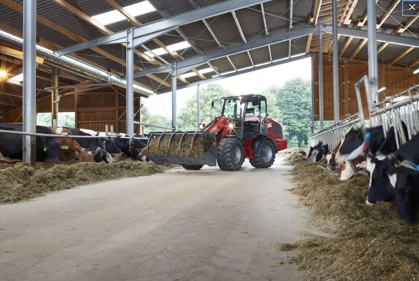 Weidemann 2