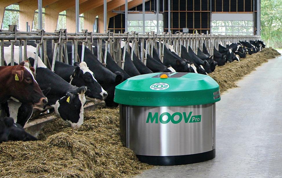 Livestock Feeding 4
