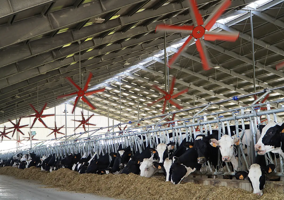 Livestock Housing 1