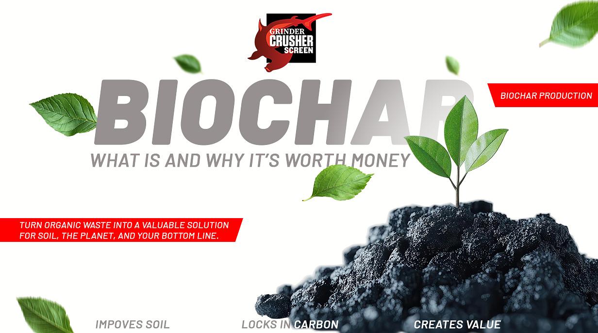 What Is Biochar and Why Is It Worth Money?