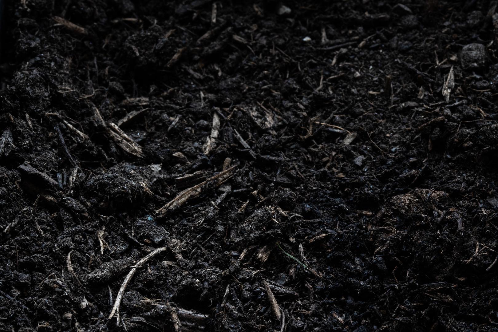 Best Mulch Dye Colors