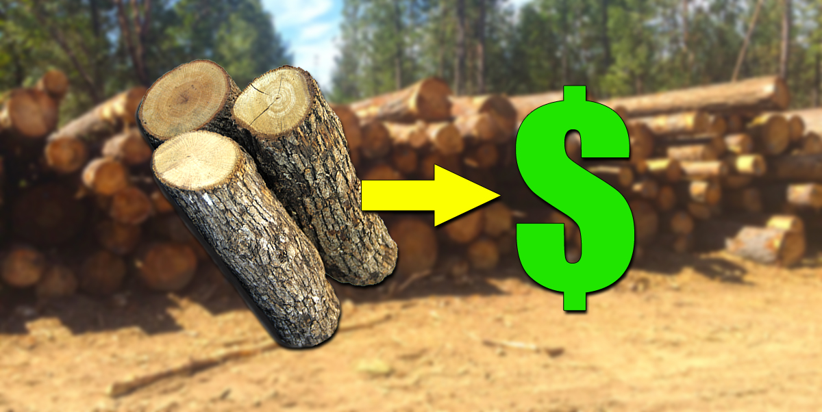 Maximize profit from Wood Waste after Land Clearing