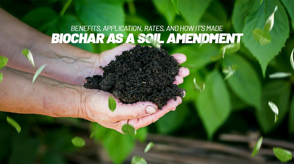 Biochar as a Soil Amendment