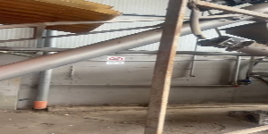 Riproduci video