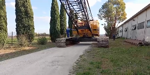 Riproduci video