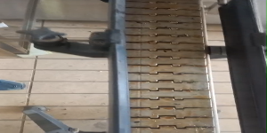 Riproduci video