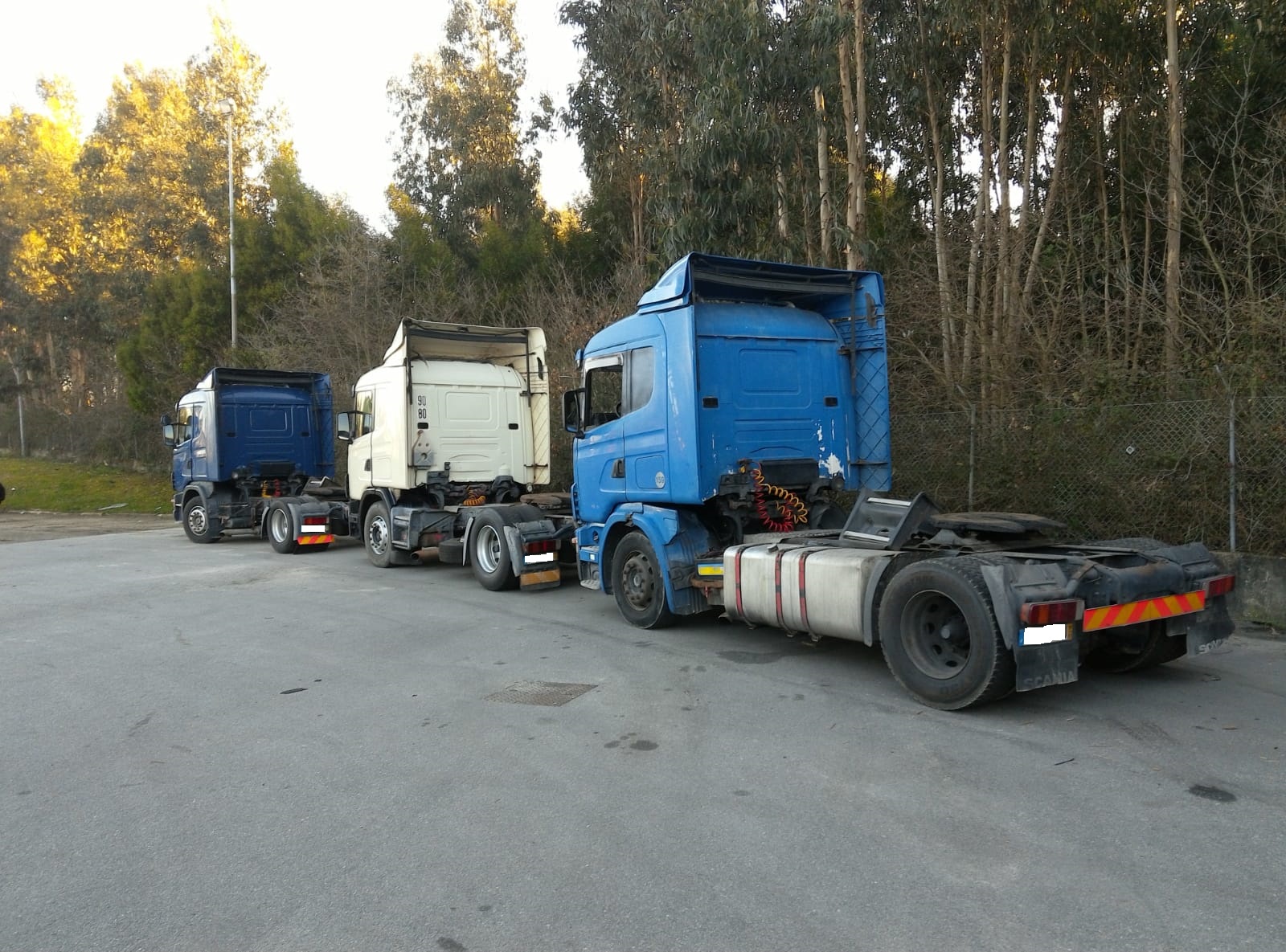 Delivery to port & Shipping to Asuncion - Paraguay.